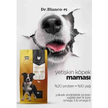 Dr.blanco Ps Seri Kuru Köpek Maması 15 kg