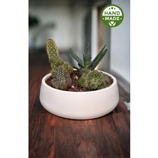 El Yapımı Minimalist ve Şık Tasarım Beyaz Beton Saksı