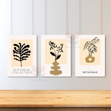 3'lü Set Kanvas Tablo Minimalist Tasarım Oturma Odası Tablosu Soyut Bitki Tabloları Kanvas Tablo