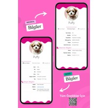 Petkay Köpekler Için Akıllı Künye, Nfc Dijital Isimlik Ve Tasma Künyesi Qr Kod Künye Paslanmaz Çelik Turuncu isimli Köpek Tasması, Köpek isimlik