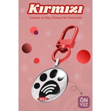 Petkay Köpekler Için Akıllı Künye, Nfc Dijital Isimlik Ve Tasma Künyesi Qr Kod Künye Paslanmaz Çelik Kırmızı isimli Köpek Tasması, Köpek isimlik