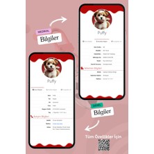 Petkay Köpekler Için Akıllı Künye, Nfc Dijital Isimlik Ve Tasma Künyesi Qr Kod Künye Paslanmaz Çelik Kırmızı isimli Köpek Tasması, Köpek isimlik