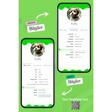 Petkay Köpekler Için Akıllı Künye, Nfc Dijital Isimlik Ve Tasma Künyesi Qr Kod Künye Paslanmaz Çelik Yeşil isimli Köpek Tasması, Köpek isimlik