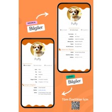 Petkay Köpekler Için Akıllı Künye, Nfc Dijital Isimlik Ve Tasma Künyesi Qr Kod Künye Paslanmaz Çelik Turuncu isimli Köpek Tasması, Köpek isimlik