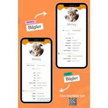 Petkay Kediler Için Akıllı Künye, Nfc Dijital Isimlik Ve Tasma Künyesi Qr Kod Künye Paslanmaz Çelik Turuncu İsimli Kedi Tasması, Kedi İsimlik