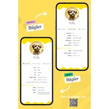 Petkay Köpekler Için Akıllı Künye, Nfc Dijital Isimlik Ve Tasma Künyesi Qr Kod Künye Paslanmaz Çelik sarı isimli Köpek Tasması, Köpek isimlik