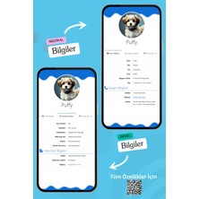 Petkay Köpekler Için Akıllı Künye, Nfc Dijital Isimlik Ve Tasma Künyesi Qr Kod Künye Paslanmaz Çelik Mavi isimli Köpek Tasması, Köpek isimlik