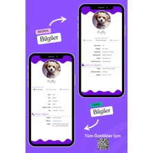 Petkay Köpekler Için Akıllı Künye, Nfc Dijital Isimlik Ve Tasma Künyesi Qr Kod Künye Paslanmaz Çelik Mor İsimli Köpek Tasması, Köpek İsimlik