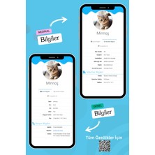 Petkay Kediler Için Akıllı Künye, Nfc Dijital Isimlik Ve Tasma Künyesi Qr Kod Künye Paslanmaz Çelik Mavi  İsimli Kedi Tasması, Kedi İsimlik
