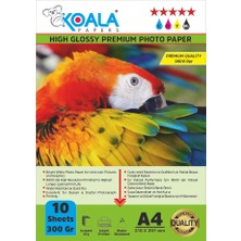 Koala Papers Epson 115 L8160 ile Uyumlu Premium Parlak Çift Taraflı Double Side A4 Fotoğraf Kağıdı 300 Gr. 10 Adet