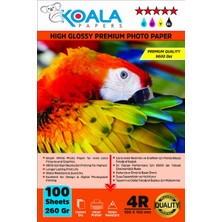 Koala Papers Epson 103 L1300 Evertday Premium Parlak 10X15CM Fotoğraf Kağıdı 260 Gr. 100 Adet