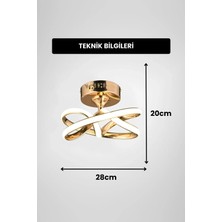 Vino Riserva Model Gold Kaplama Metal Salon Mutfak Oturma Yatak Odası Modern LED Plafonyer Avize