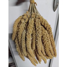 Kanatlı Shop Daldarı Sarı 250 gr