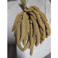 Kanatlı Shop Daldarı Sarı 250 gr