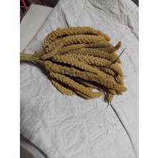Kanatlı Shop Daldarı Sarı 250 gr