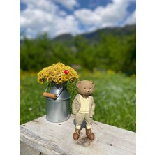 Renklifırça Teddy Ayıcık Polyester Biblo Hediyelik