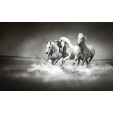 Poster 426 P4 (2.54*1.84CM)