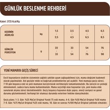 Mycat Original Az Tahıllı Skin Care Somon Balıklı Yetişkin Kedi Maması 2kg