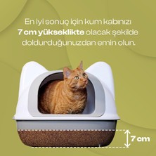 Oliva Cat Zeytin Çekirdeğinden Üretilen Aktif Karbonlu Doğal Tozsuz Kedi Kumu 8 L 3 Adet