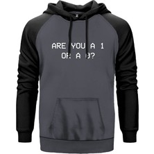 Mr Robot Are You 1 Or 0 Gri Renk Reglan Kol Kapşonlu Sweatshirt