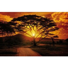 Poster 055 P8 (3.68*2.54CM)