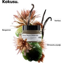 L'Oréal Professionnel Paris Serie Expert Absolut Repair Molecular Saç Maskesi 250 ml