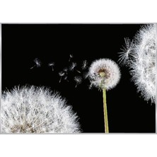 Poster 125 P8 (3.68*2.54CM)