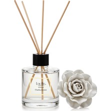 Lucille Orjinal Esanslı Chakra Jasmin Oda Kokusu - Özel Kutusunda