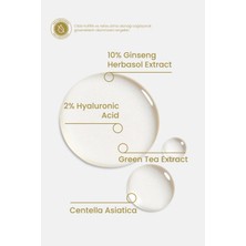 Cosmogenesis Labs Yenileyici Ginseng Vitamin Bakım Serumu 30ML Sıkılaştırıcı Aloe Vera Özü Tazelenme ve Yenilenme
