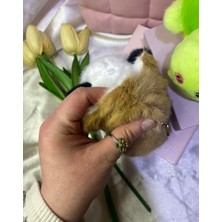1 Adet Popüler Sevimli Çift Taraflı Capybara Yada Kaplumbağa Anahtarlık/hediyelik Çanta Süsü