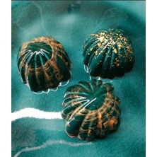 Teknotrust Polikarbon Çikolata Kalıbı cm3236