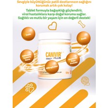 Canivir Plus 120g Tablet Köpekler İçin Dış Etkenlere Karşı Destek