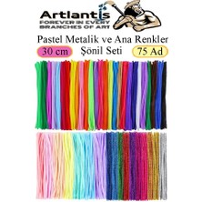 Artlantis Şönil Pastel Metalik ve Ana Renkler 30 cm 75 Li 1 Paket Renkli Tüylü Tel Peluş Tel 30 cm Elişi Okul Projeleri Süsleme