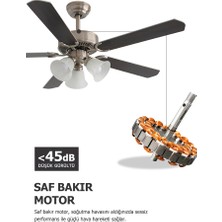 Dlc Brısote Mat Krom Tavan Vantilatörü 132 cm