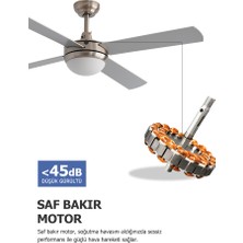 Dlc Alızee Krom Tavan Vantilatörü 132  cm