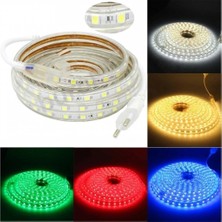 220 Volt Hortum Şerit LED Beyaz  1 Metre 220V LED Aydınlatma + Fiş(1m)