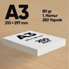 Informal Fotokopi Kağıdı Premium Kalite A3 80 gr 250 Yaprak 1. Hamur