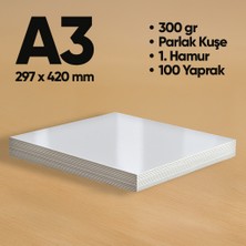 Informal Fotokopi Kağıdı Premium Kalite A3 300 gr Parlak Kuşe 100 Yaprak 1. Hamur