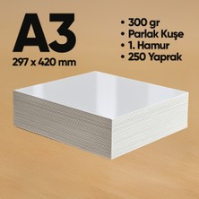 Informal Fotokopi Kağıdı Premium Kalite A3 300 gr Parlak Kuşe 250 Yaprak 1. Hamur