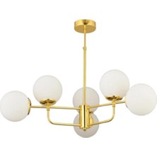  güneş 6lı Gold 3554