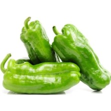 Kızartmalık Mangallık Gamber Üçburun Köy Biberi Üç Burun Biber Fidesi (5 Adet)