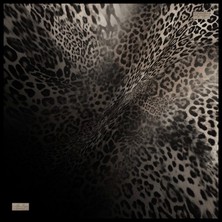 Güz | Yaz Serinliği Eşarp 2348-01 90X90