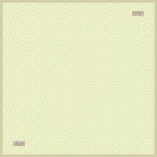 2333-18 Twıl Ipek 90X90