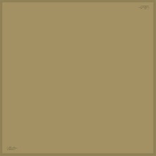 Düz Renk Sura Ipek - 114 - 90X90