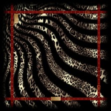 Classıcal Twıll 1233-11