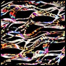 Classıcal Twıll 2029-02