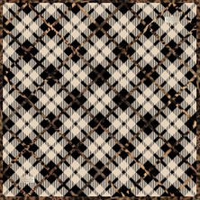 Classıcal Twıll 2056-08