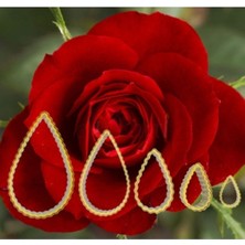 Teknotrust Gül Çiçek Yapım Seti 5'Li - Kurabiye Kalıbı