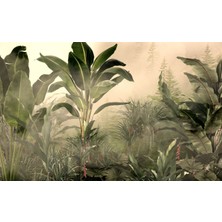 Palmiye Ağaçları , Tropikal Ağaçlar Duvar Kağıdı
