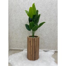 Bambu Saksı Ahşap Silindir Saksı Ahşap Saksı